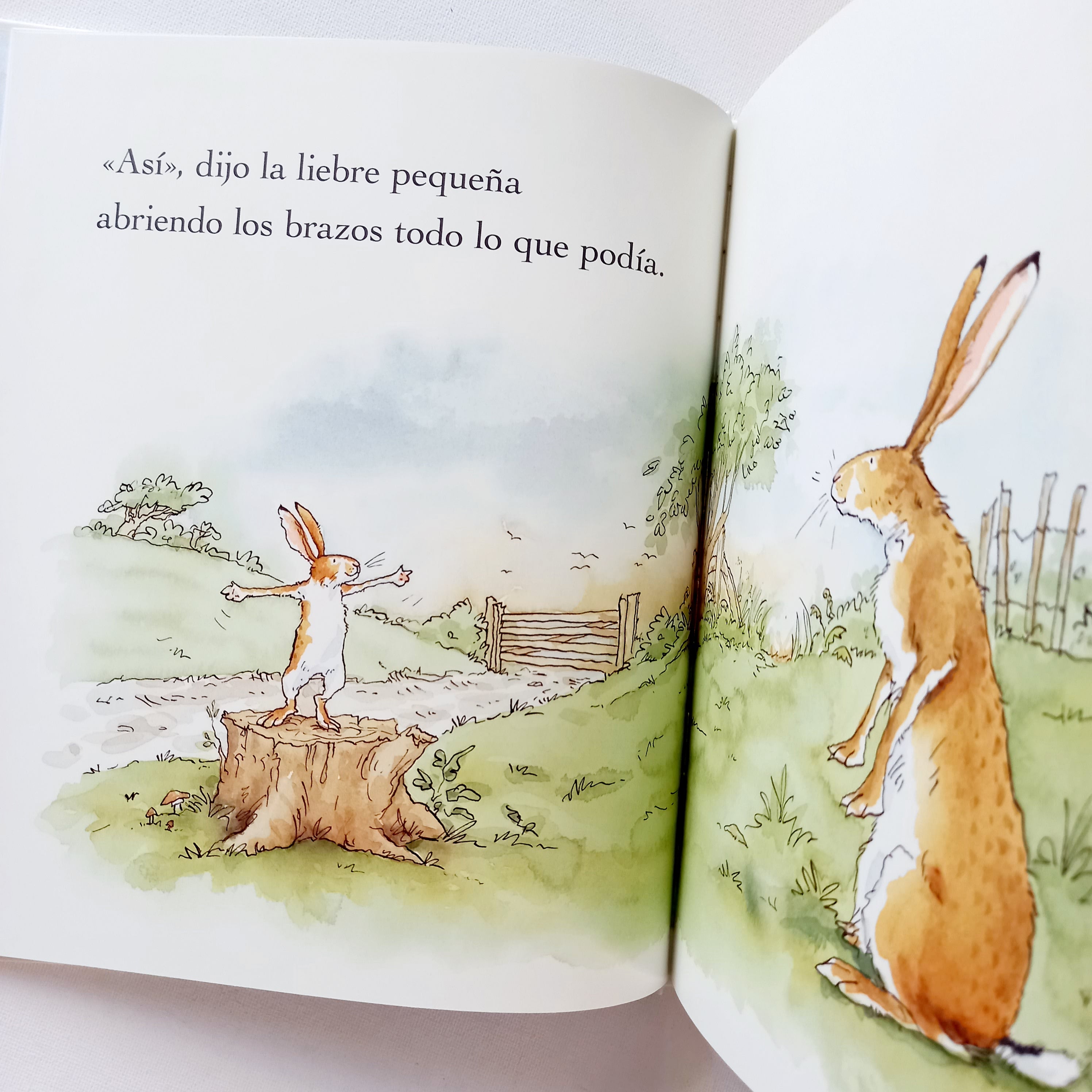 Adivina cuánto te quiero Adivina cuánto te quiero